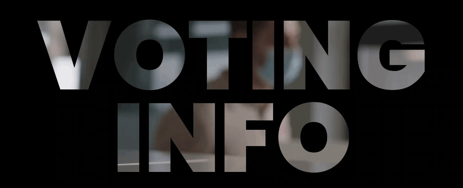 Voting Info gif